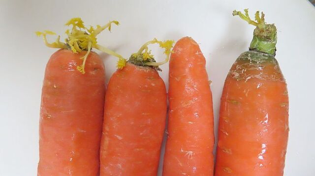 Carrots1.jpg