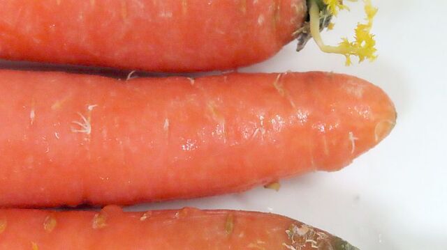Carrots2.jpg