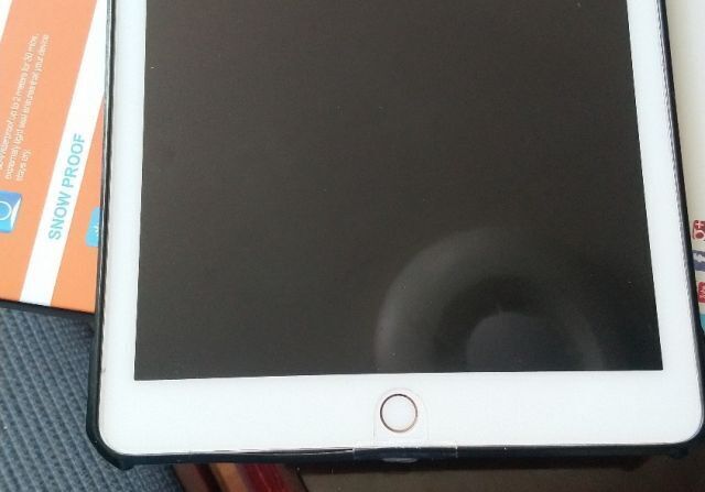 iPad0830.jpg